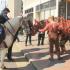 War Horse On Stage